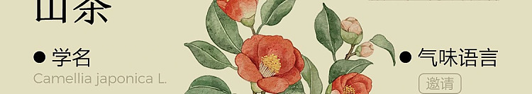 netflix-home-deodorizing-fragrance-rose-suzuran-120ml-69