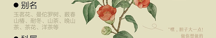 netflix-home-deodorizing-fragrance-rose-suzuran-120ml-70
