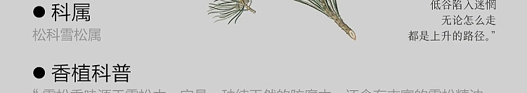 netflix-home-deodorizing-fragrance-rose-suzuran-120ml-90