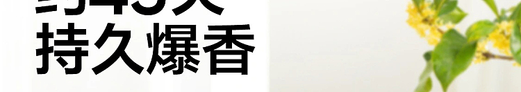 netease-strictly-selected-small-fragrant-dun-solid-air-freshener-mountain-wild-gardenia-fragrance-90g-112