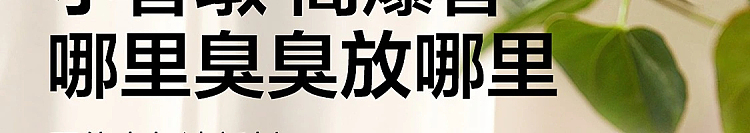 netease-strictly-selected-small-fragrant-dun-solid-air-freshener-mountain-wild-gardenia-fragrance-90g-2