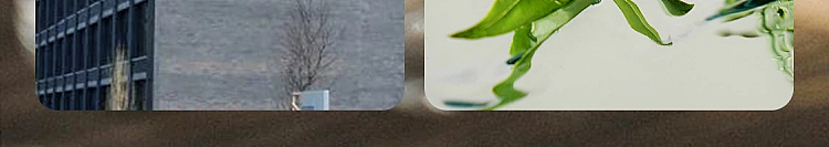 netease-strictly-selected-small-fragrant-dun-solid-air-freshener-mountain-wild-gardenia-fragrance-90g-52