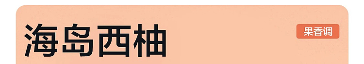 netease-strictly-selected-small-fragrant-dun-solid-air-freshener-mountain-wild-gardenia-fragrance-90g-76