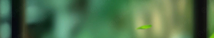 netflix-car-deodorizing-solid-balm-mingqian-longjing-98