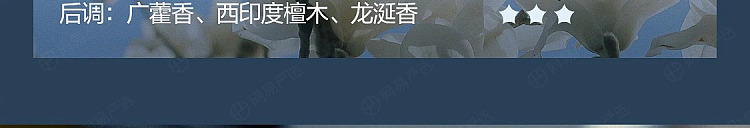 netflix-car-deodorizing-solid-balm-jade-dragon-zen-tea-125