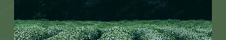netflix-car-deodorizing-solid-balm-sandalwood-oolong-77