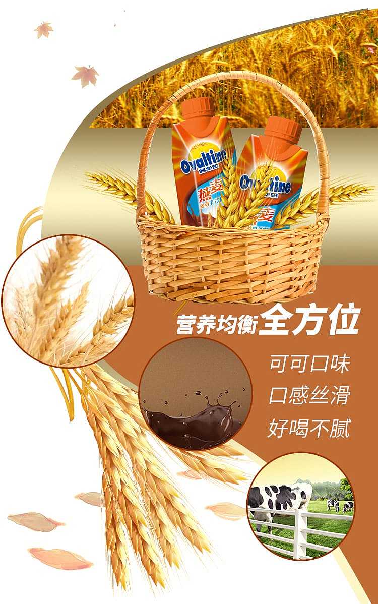 ovaltine-malted-milk-drink-oatmeal-classic-cocoa-flavor-330ml-3
