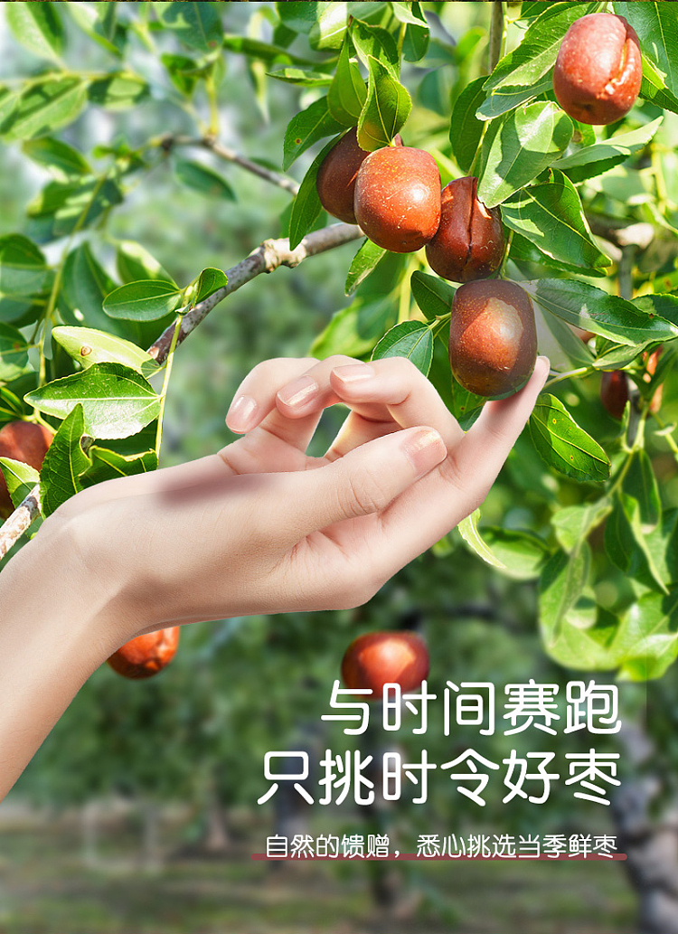 fat-dong-lai-exclusive-goodness-black-sesame-crispy-dates-108g-10