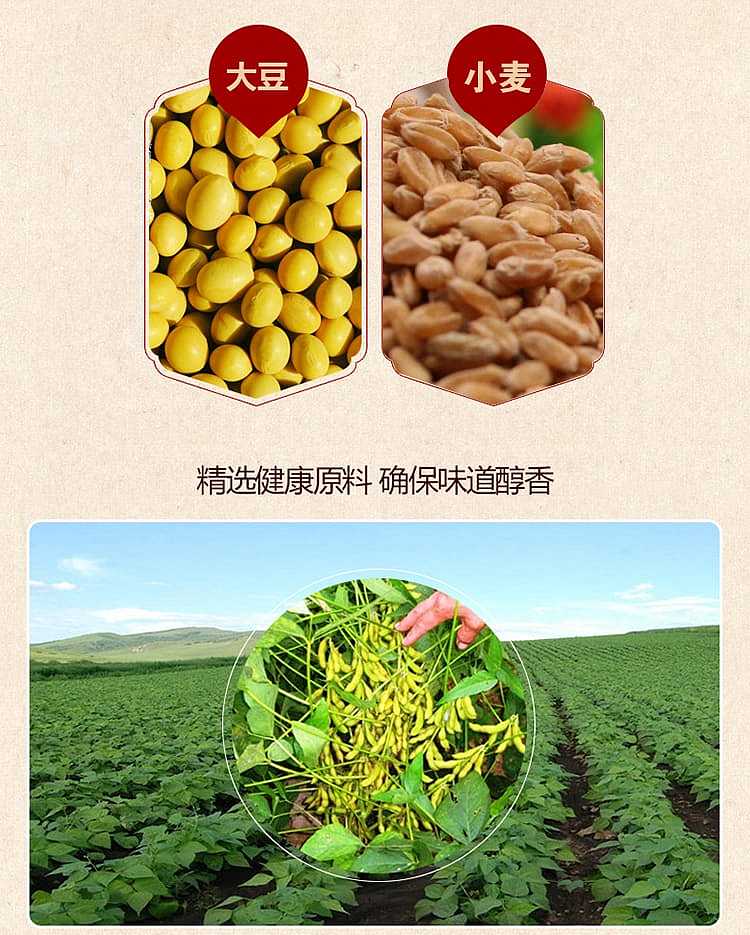 wang-zhihe-dry-yellow-sauce-box-300g-5