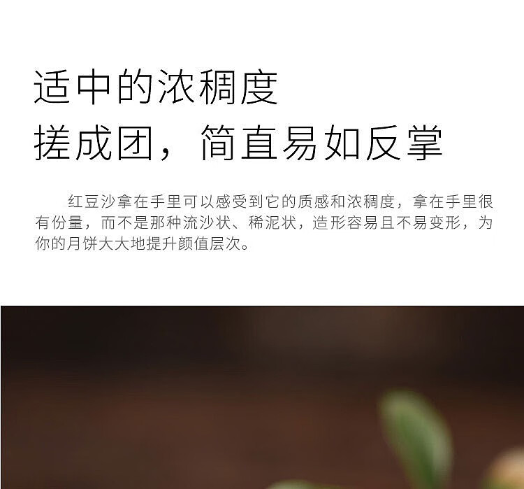 wang-zhihe-red-bean-paste-filling-350g-13