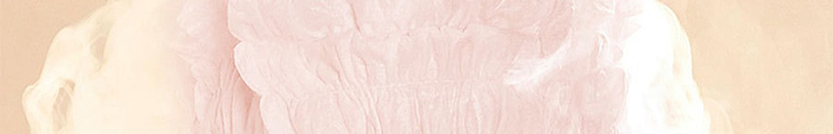 cotton-era-princess-ness-menstrual-pants-size-s-m-2pcs-bag-22