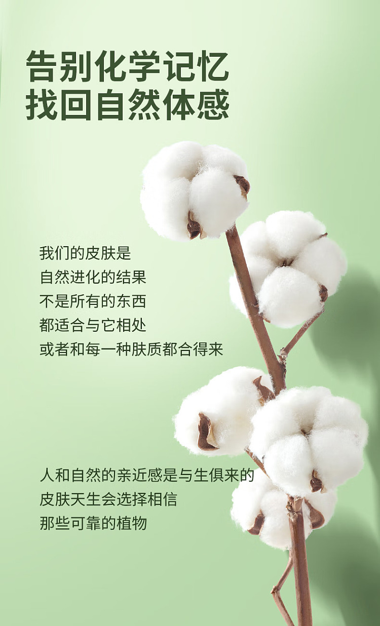 cotton-era-princess-ness-ultra-clean-suction-sanitary-napkin-night-use-360mm-5pcs-13