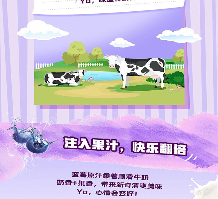 full-case-yili-yogurt-blueberry-flavor-250ml24-3