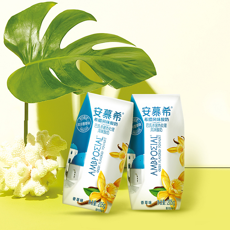 full-caseamish-greek-yogurt-vanilla-flavor-205ml12-bottles-2