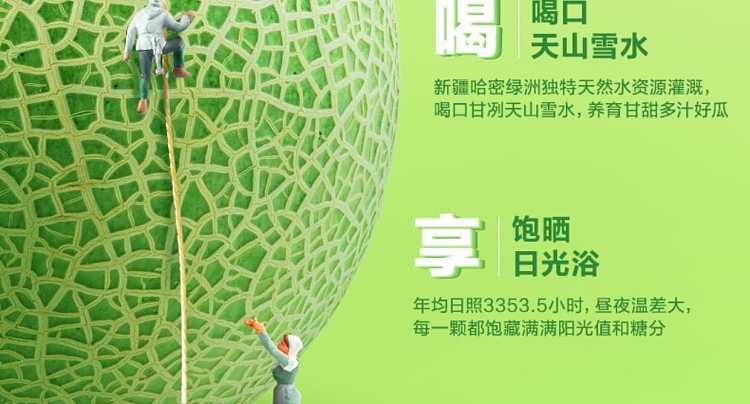 full-caseanmushi-flavored-yogurt-xinjiang-hami-melon-flavor-230g10-bottles-case-6