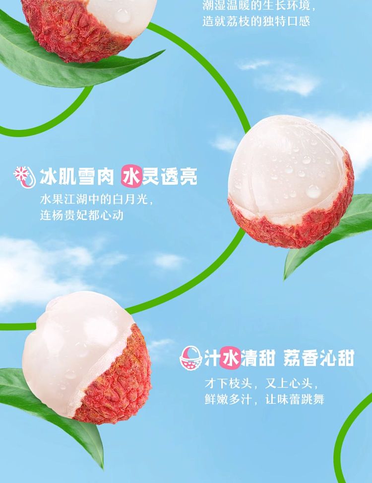 full-caseyili-yogurt-lychee-flavor-250ml24-6