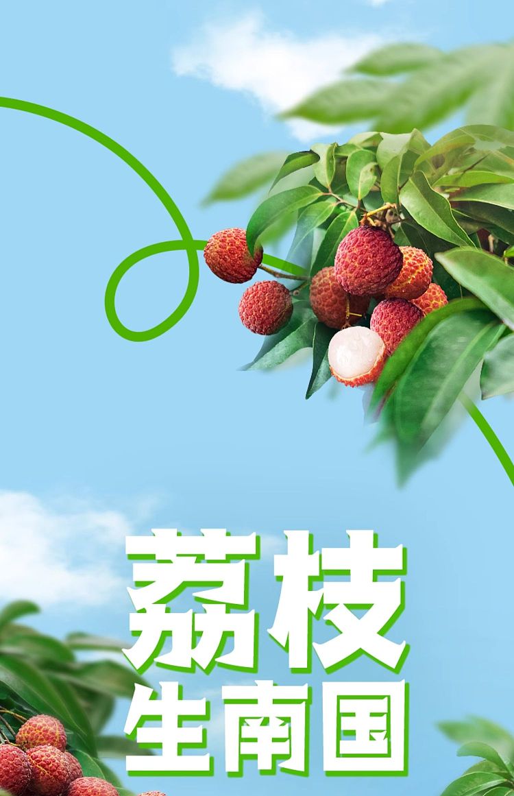 yili-yogurt-lychee-flavor-250ml-3
