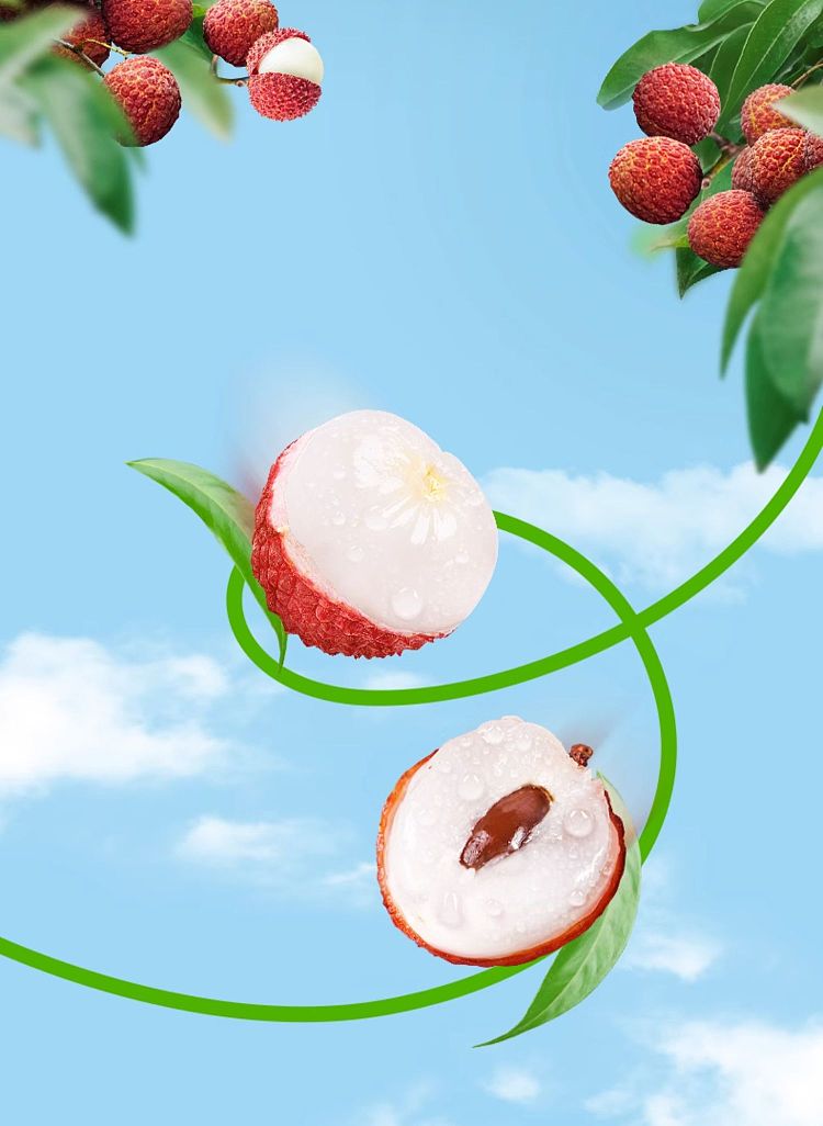 yili-yogurt-lychee-flavor-250ml-4