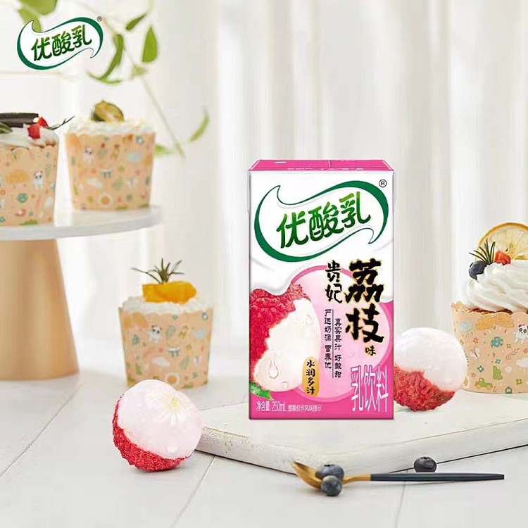 yili-yogurt-lychee-flavor-250ml-3