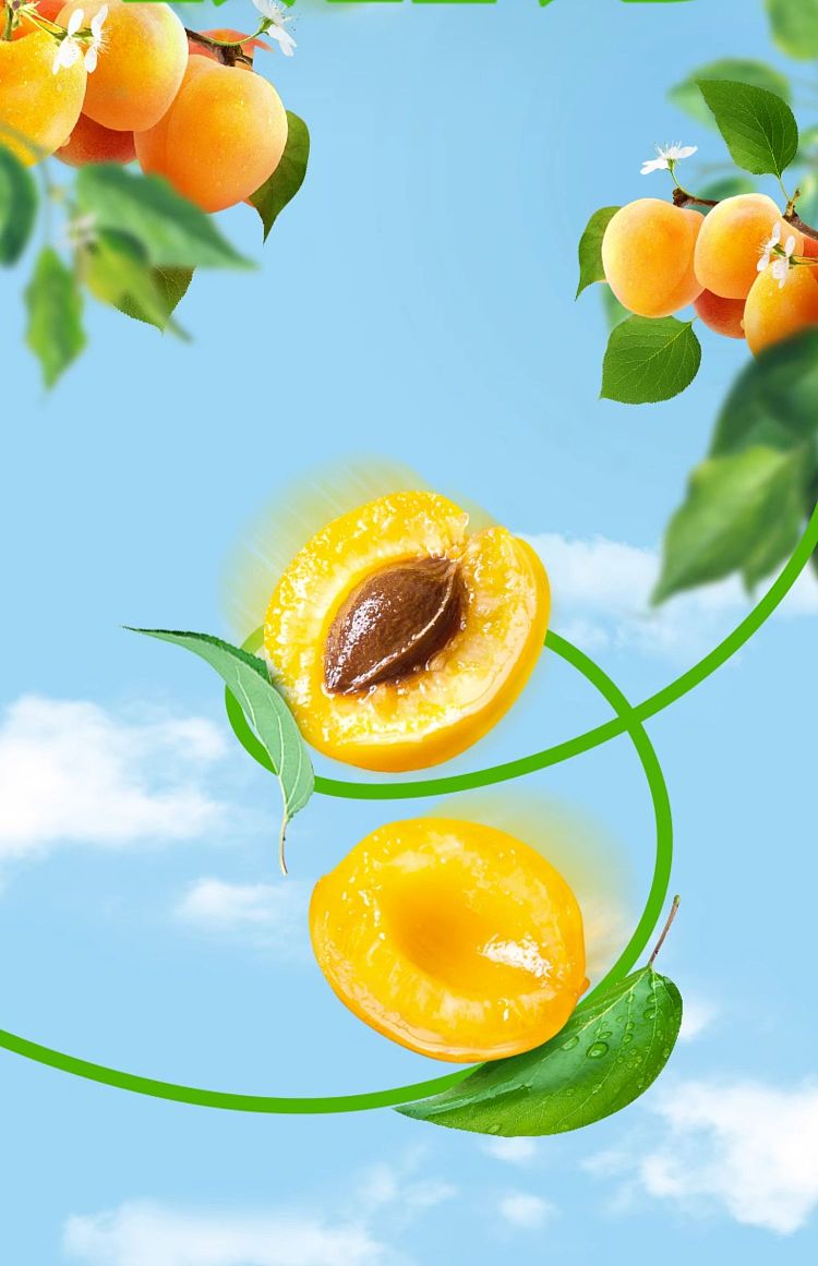 yili-yogurt-apricot-flavor-250ml-3