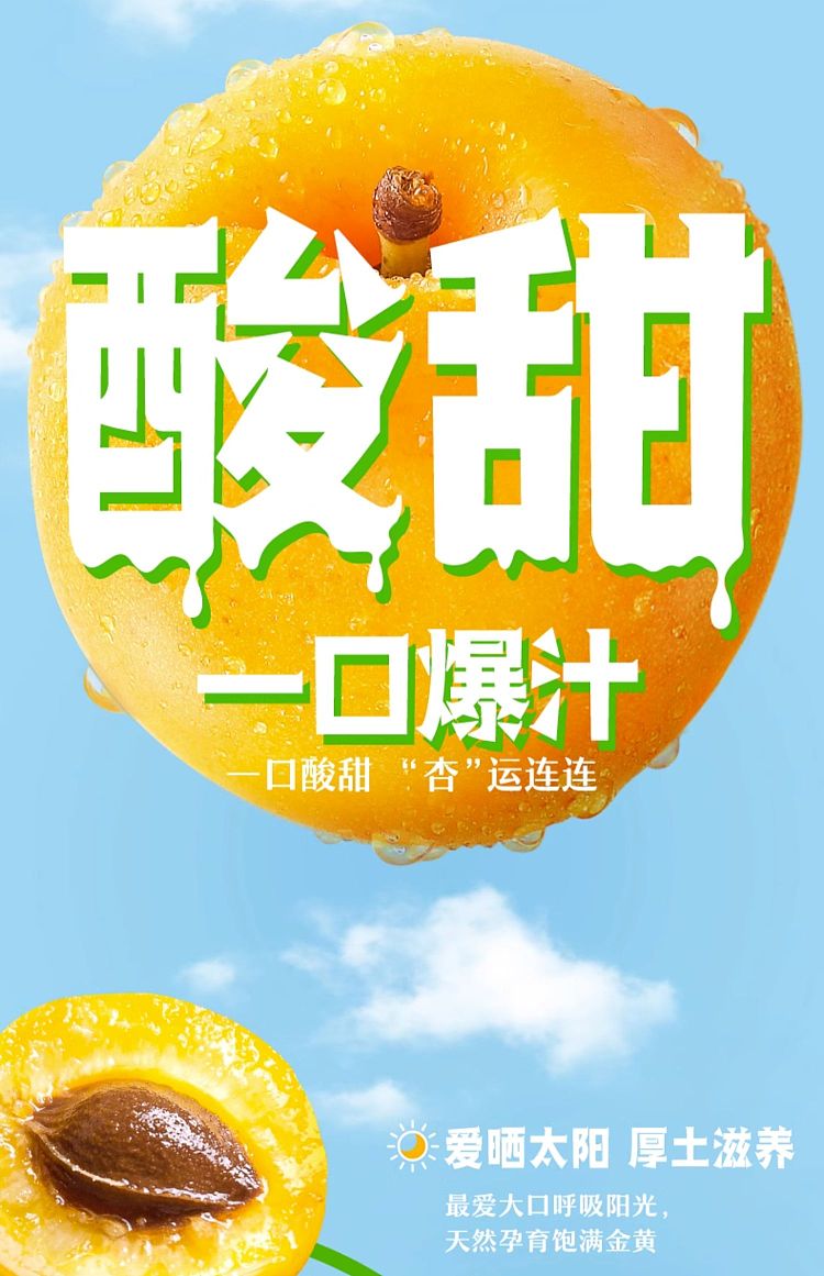 yili-yogurt-apricot-flavor-250ml-4