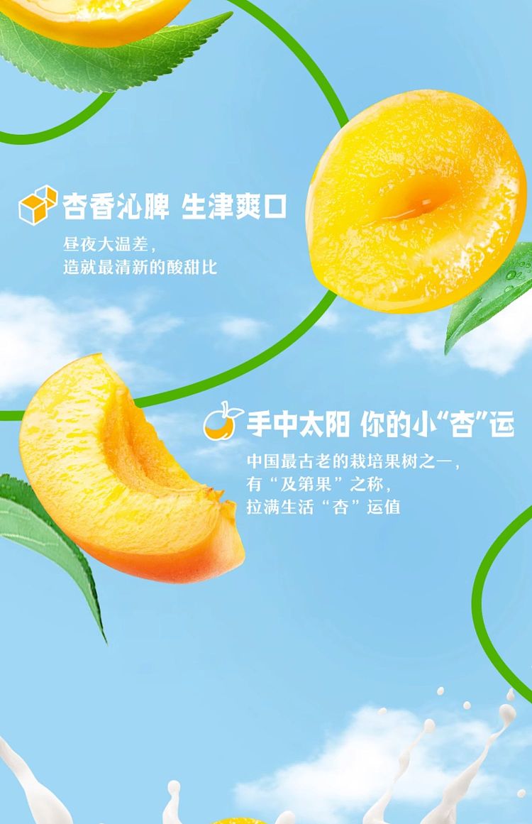 yili-yogurt-apricot-flavor-250ml-5