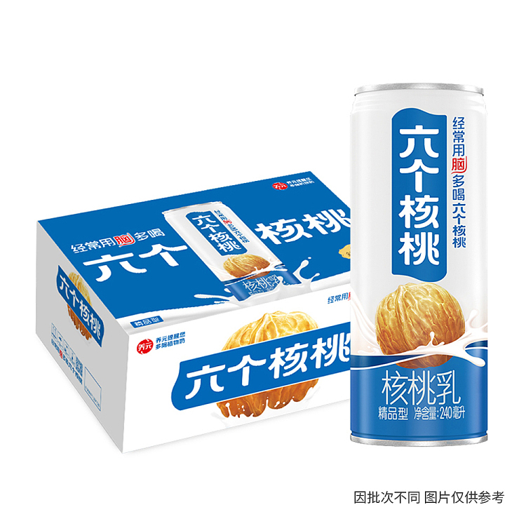 six-walnuts-walnut-milk-24020-bottles-case-1