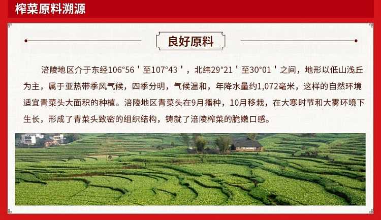 wujiang-bottled-pickled-bok-choy-300g-5