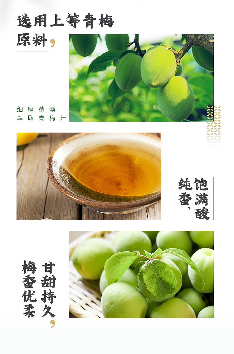 darley-park-green-plum-green-tea-500ml15-cases-3