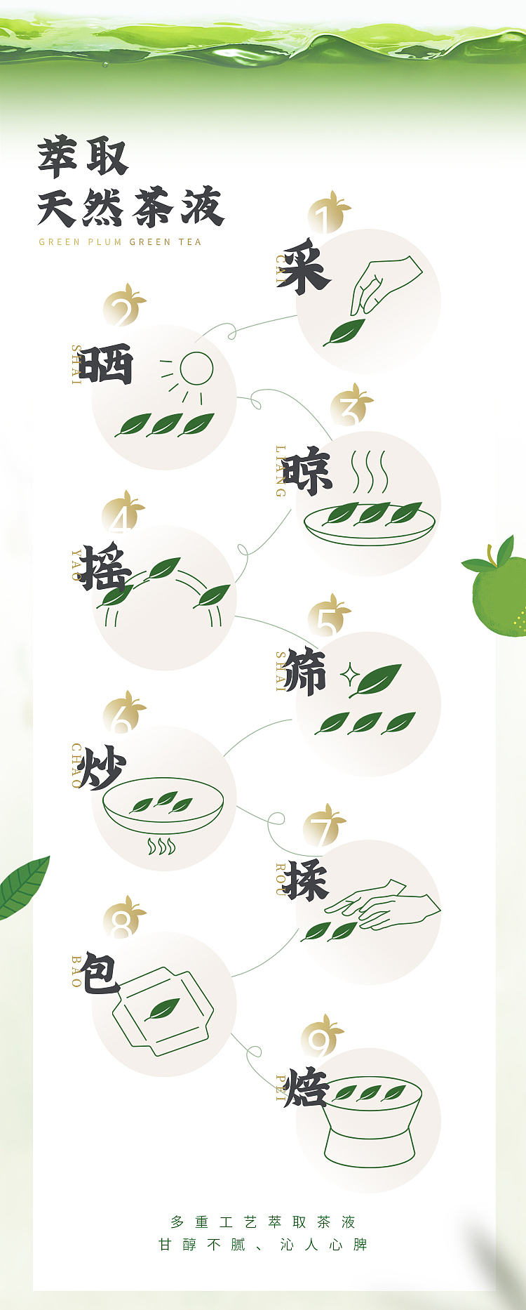 darley-park-green-plum-green-tea-500ml15-cases-4