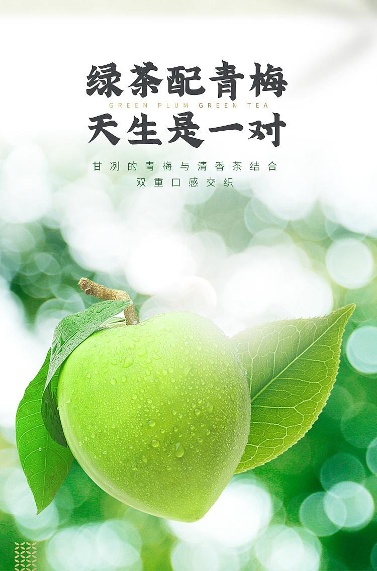 darley-park-green-plum-green-tea-500ml15-cases-5