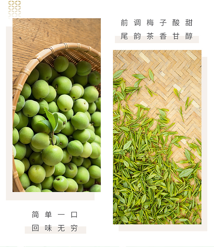 darley-park-green-plum-green-tea-500ml15-cases-6