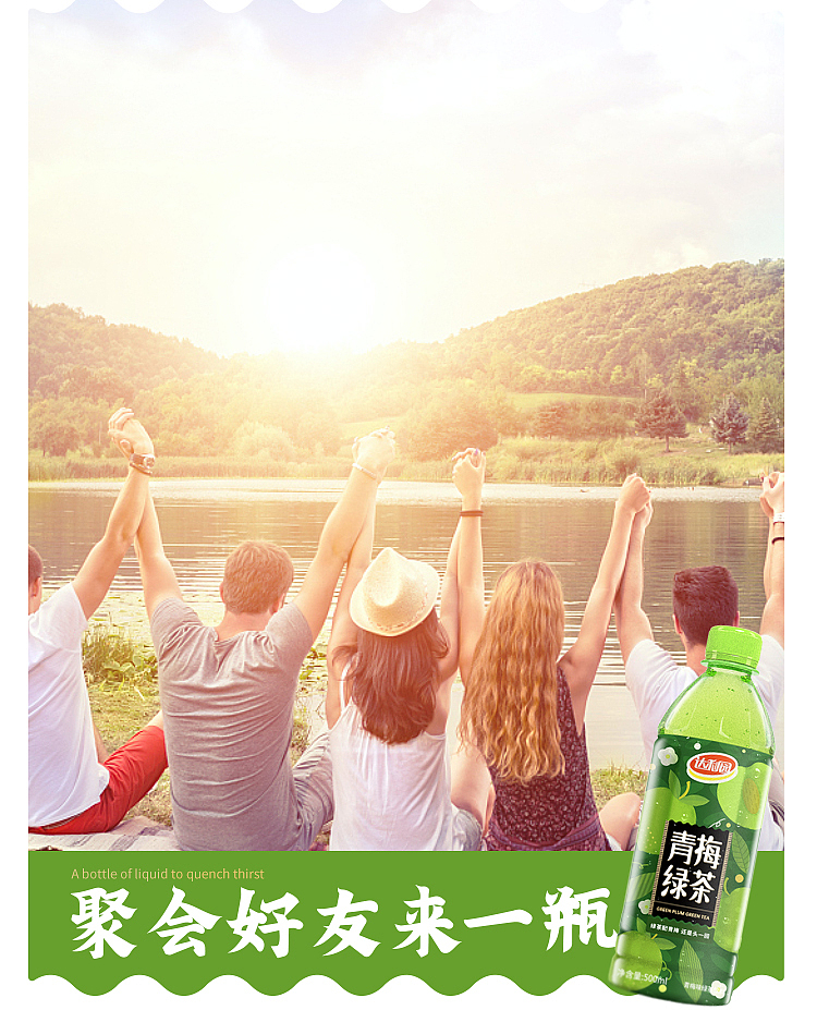 darley-park-green-plum-green-tea-500ml15-cases-9