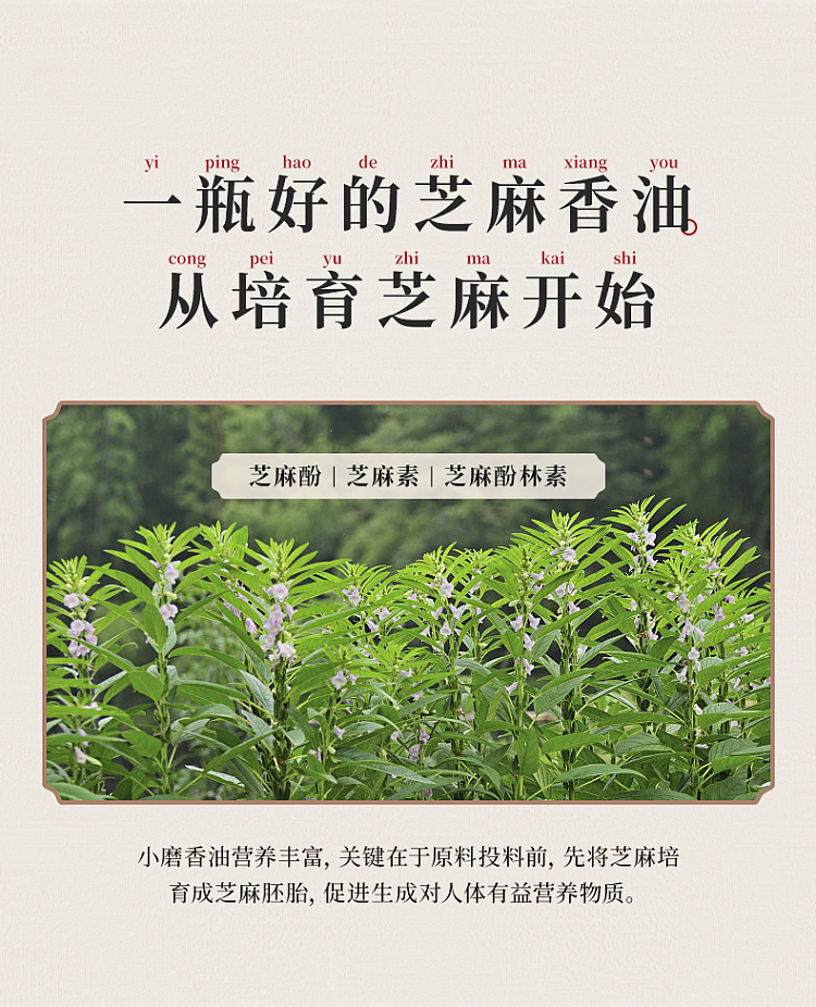 old-henghe-pure-sesame-fragrance-oil-220ml-2