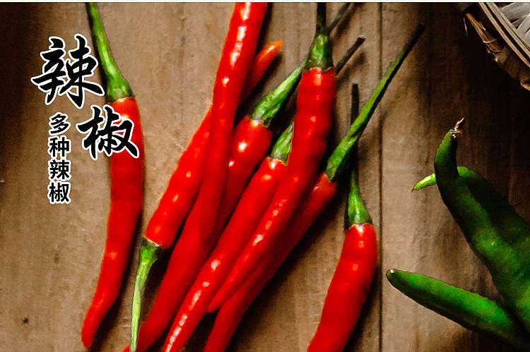 chuannan-spicy-king-oil-chili-258g-7