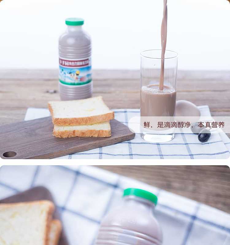the-whole-case-of-plum-garden-sweet-milk-flavor-milk-drink-chocolate-flavor-450ml-12-bottles-case-5