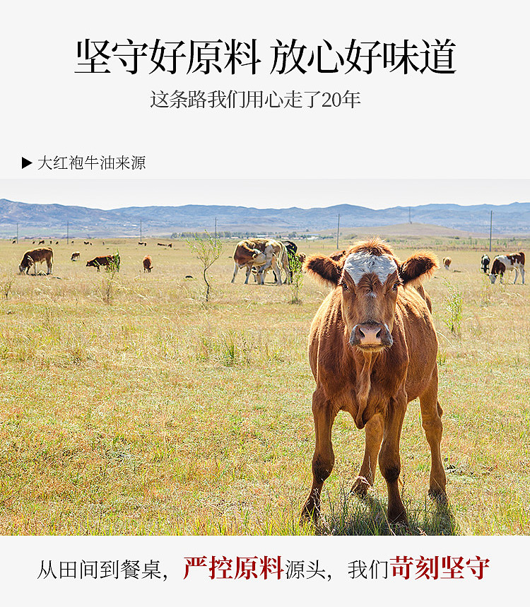 big-red-robe-sichuan-hot-pot-base-spicy-butter-300g-6