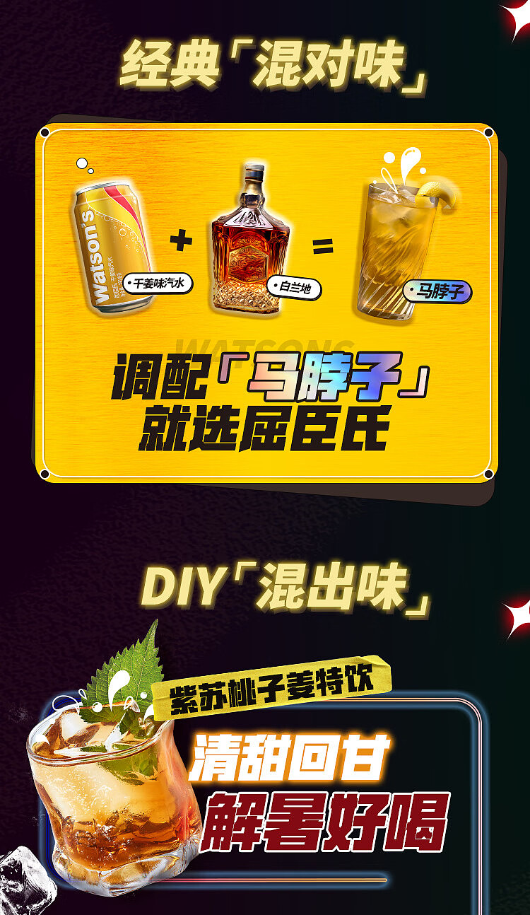 watsons-soda-pop-dry-ginger-330ml-4