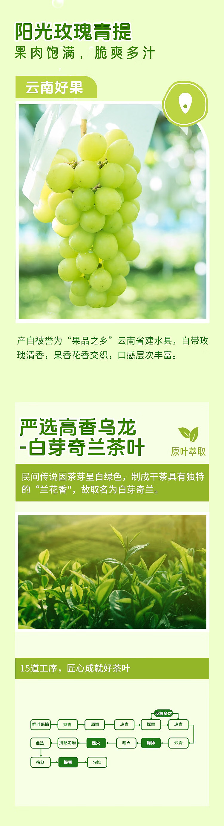 sams-exclusive-sunkist-sunshine-rose-green-tee-oolong-bubble-tea-265ml24-bottles-6