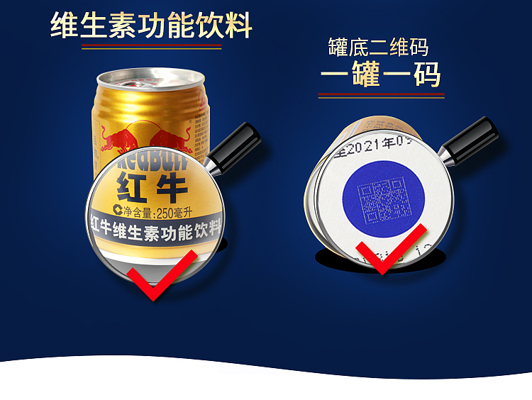 red-bull-vitamin-functional-drink-250ml24-5