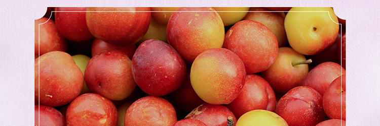 farmers-villa-nine-made-snowflake-plum-108g-8