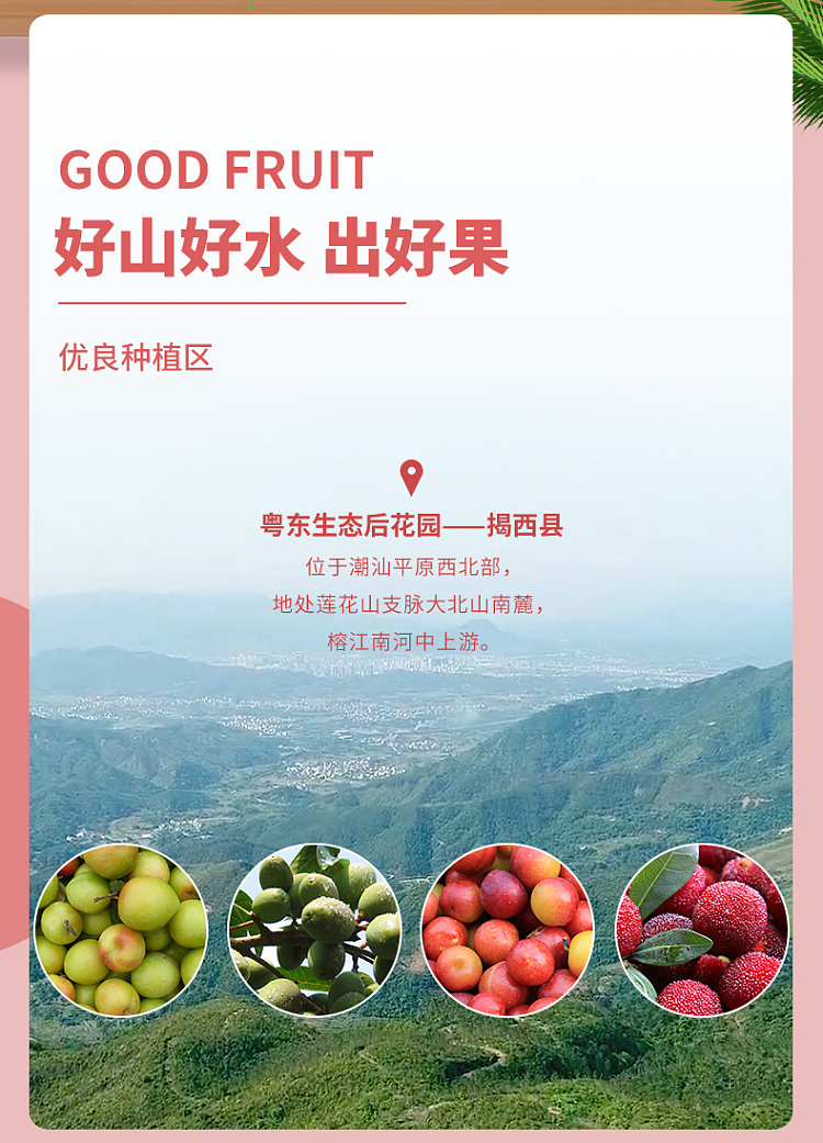 farmers-farmhouse-9-flavored-ice-sugar-preserved-waxberry-88g-2