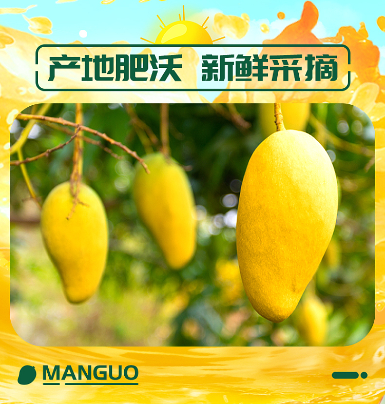farmers-bounty-dried-mango-92g-2