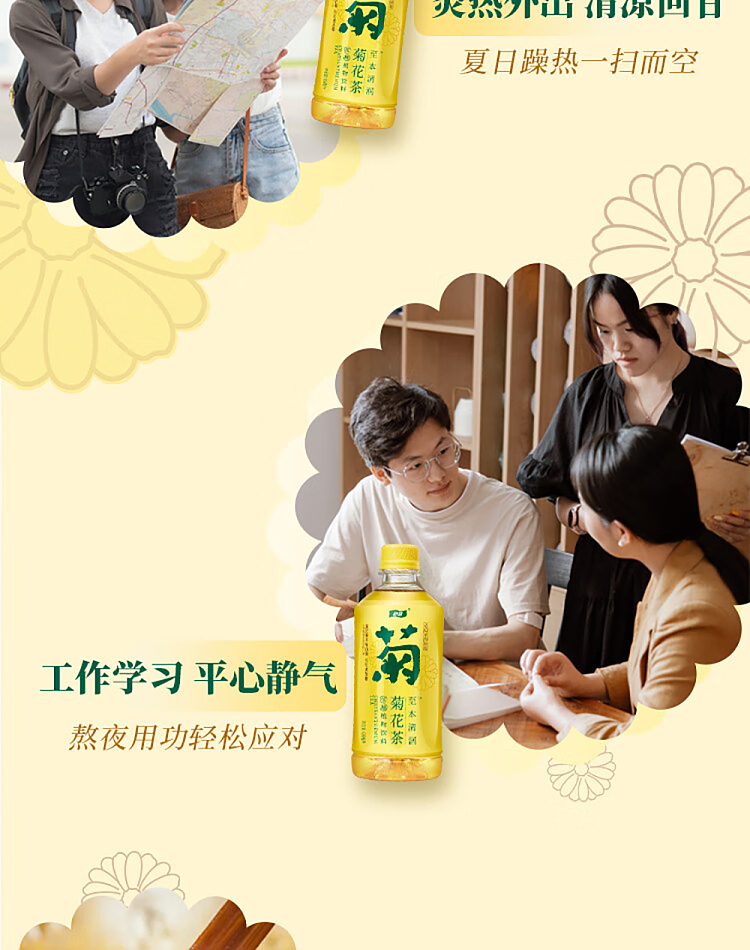 full-caseyippo-to-the-original-clear-chrysanthemum-tea-low-sugar-plant-drink-450ml-15-bottles-6