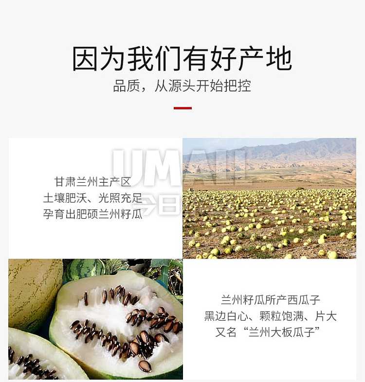 zhenglin-brand-watermelon-seeds-400g-4