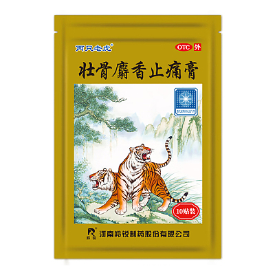 壮骨麝香止痛膏 10贴入