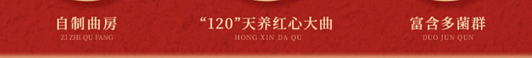 donghu-gold-label-shanxi-three-years-old-aged-vinegar-500ml-10