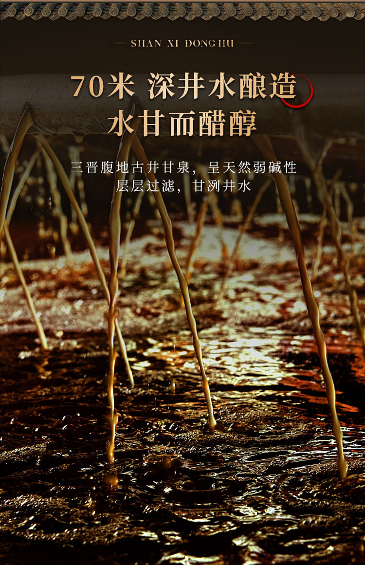 donghu-gold-label-shanxi-three-years-old-aged-vinegar-500ml-11