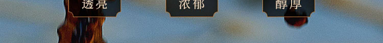 donghu-gold-label-shanxi-three-years-old-aged-vinegar-500ml-16