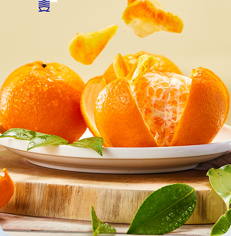 sanguan-six-wharf-dried-orange-138g-4